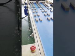 เครื่องอัดรีดวันที่แถบโปรตีนหลายบรรทัดความเร็วสูงของ Papa